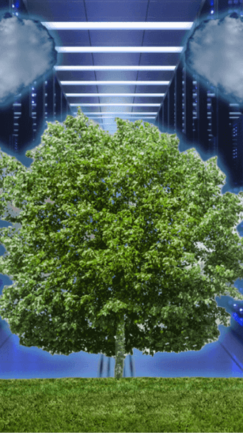 AI Compute and the Environment